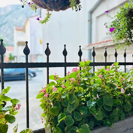 Lavanda * Mostar
